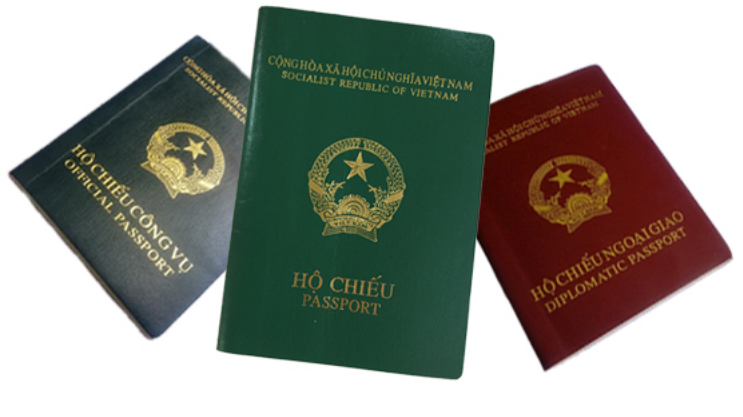 có 3 loại hộ chiếu được cấp cho công dân Việt Nam