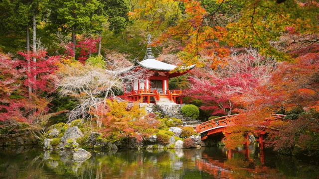 Chùa Daigo Ji – Kyoto