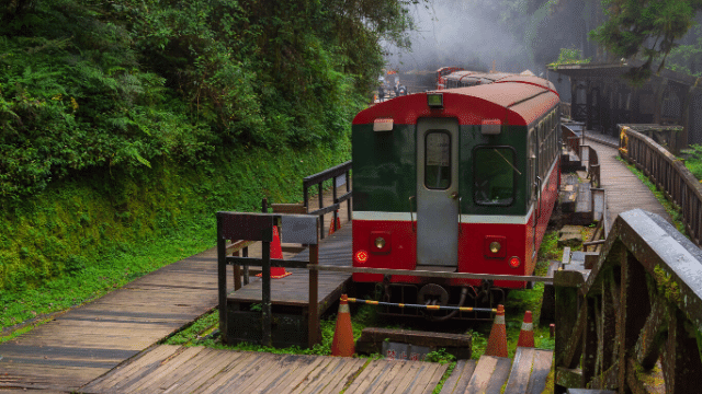 Du lịch đến A Lý Sơn, du khách có thể sử dụng xe lửa để di chuyển