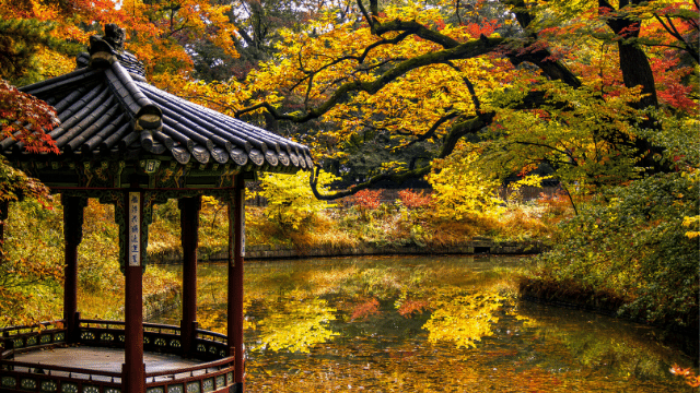 Du lịch Hàn Quốc vào mùa thu với những con đường ngập tràn sắc đỏ