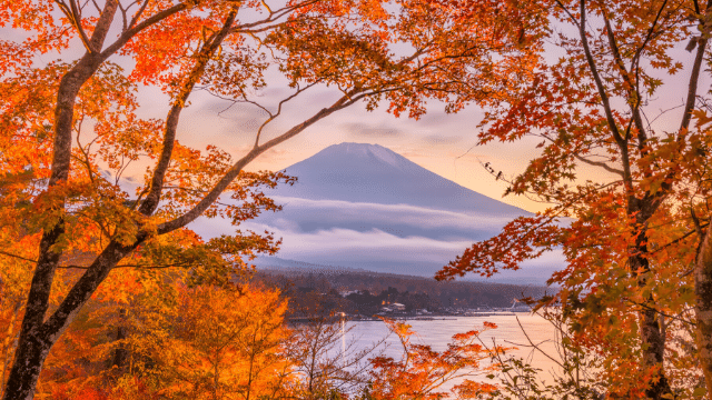 Du lịch Nhật Bản mùa thu có gì đẹp?